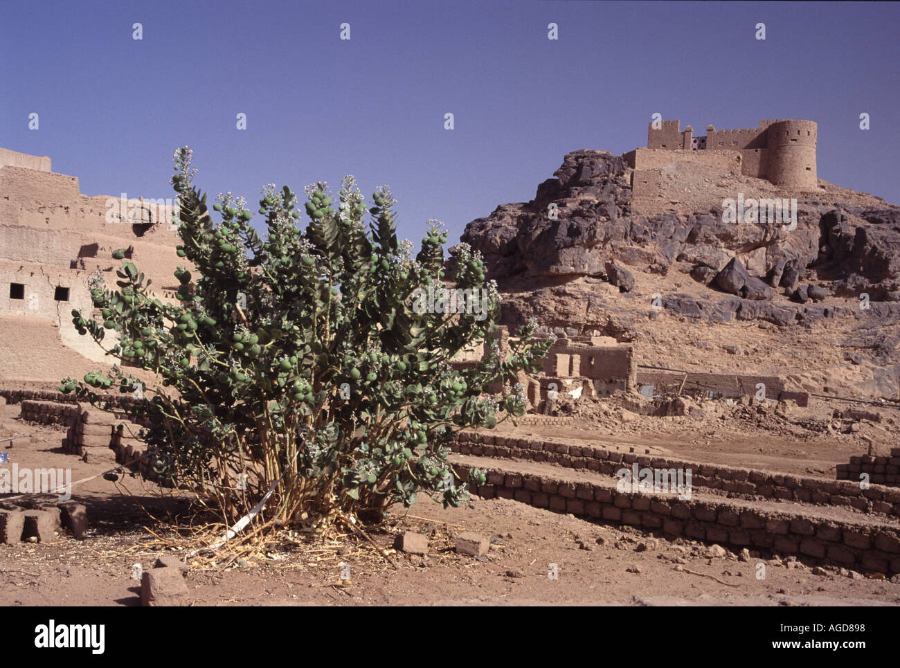 Libya the historical french fortress castle of Ghat Stock Photo