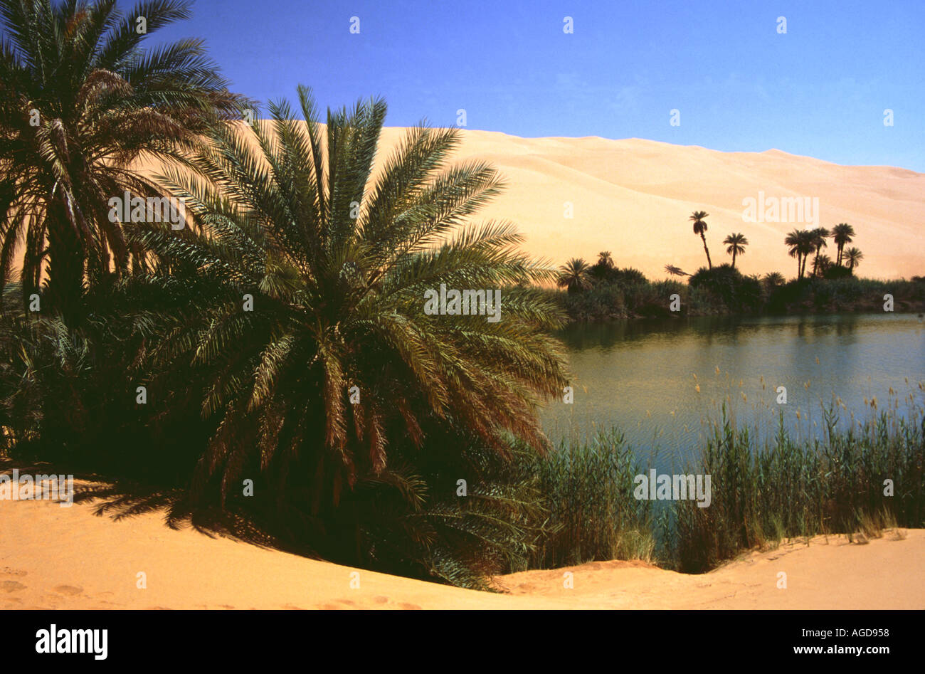 Um El Ma Hi res Stock Photography And Images Alamy