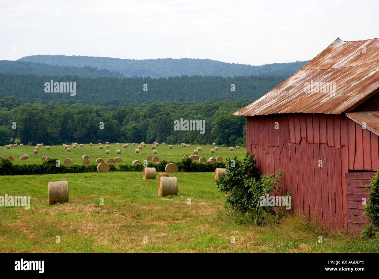 Round hay bales and red barn in northwest Arkansas. Stock Photo
