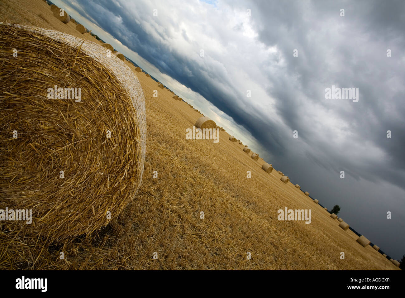 Straw bales and dramatic sky, Faversham , Kent Stock Photo Alamy