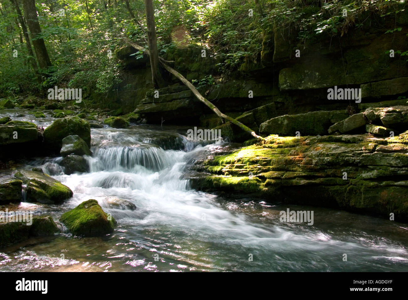 Stream flowing out of Blanchard Cavern in the Ouachita National Forest of Arkansas Stock Photo