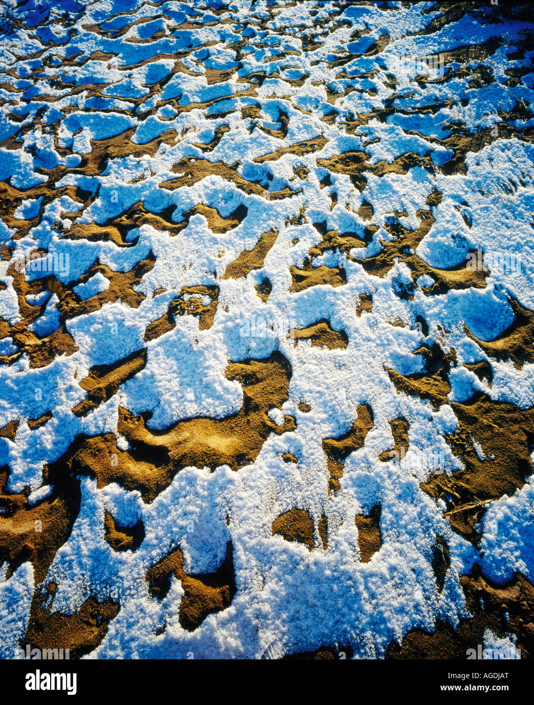 Frost pattern ground hi-res stock photography and images - Alamy