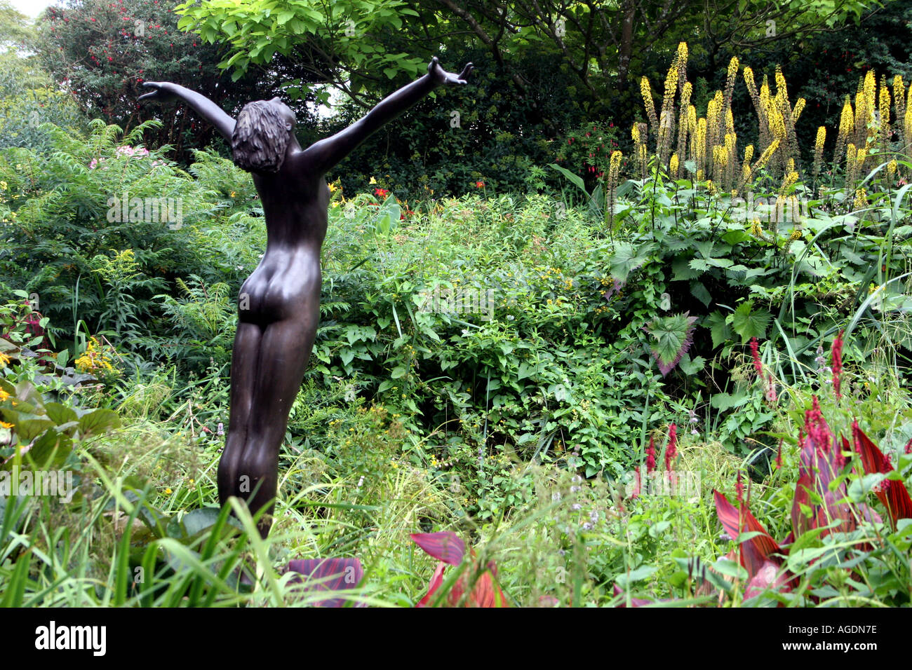 Naked Woman In The Garden