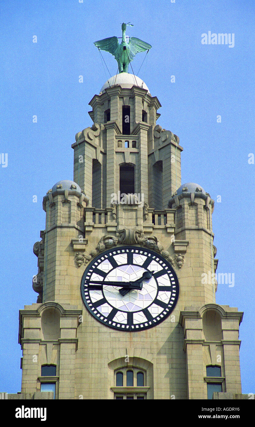 Royal Liver Building (clock tower), Liverpool, England Stock Photo