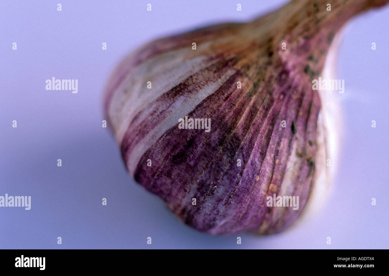 Crushed garlic garden hires stock photography and images Alamy
