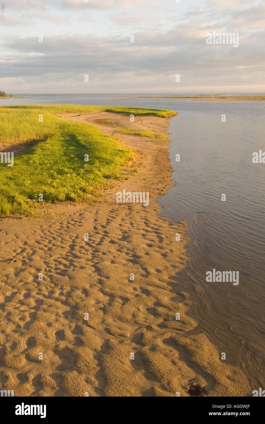 Stock image of tidal water and sand at Kouchibouguac National Park at