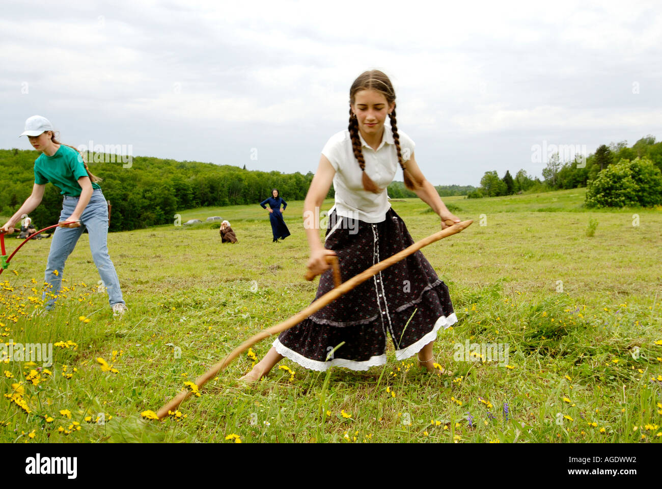 Stock image of a young farm girl in skirt and long braids scything or hand mowing a hay field Stock Photo