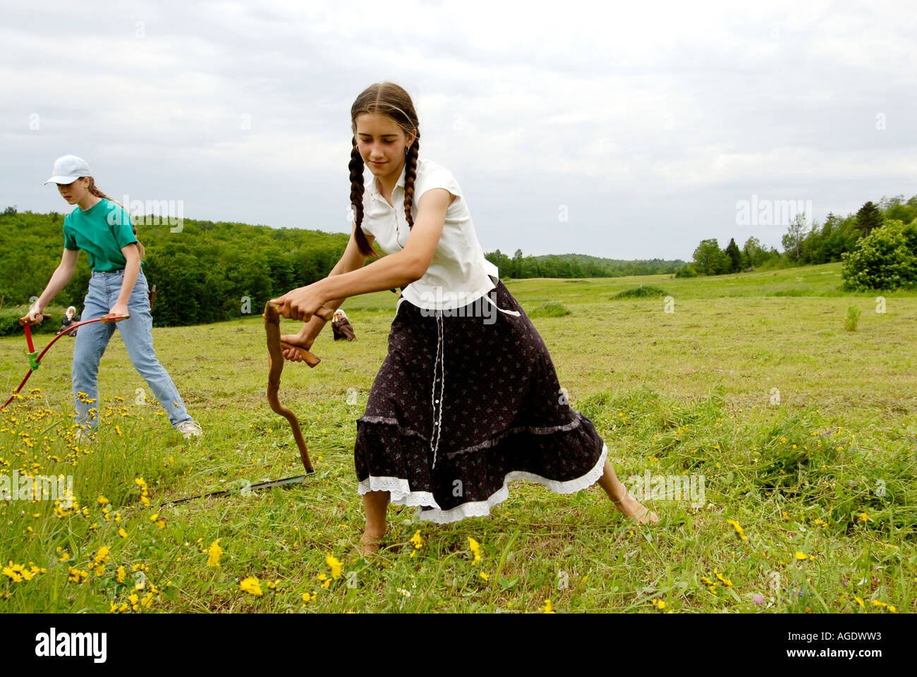 Stock image of a young farm girl in skirt and long braids scything or hand mowing a hay field Stock Photo