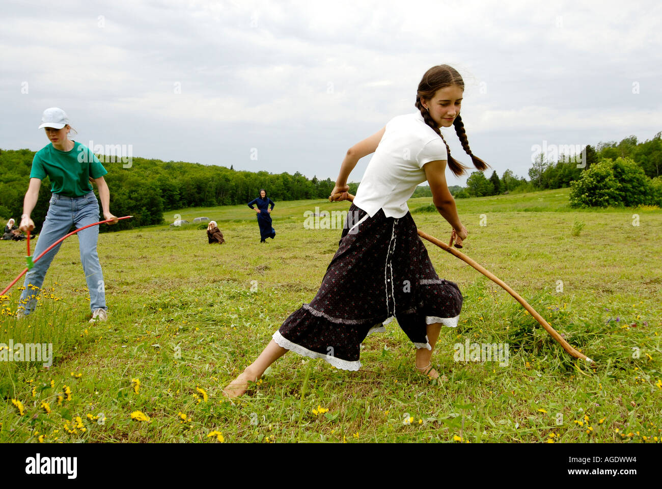 Stock image of a young farm girl in skirt and long braids scything or hand mowing a hay field Stock Photo