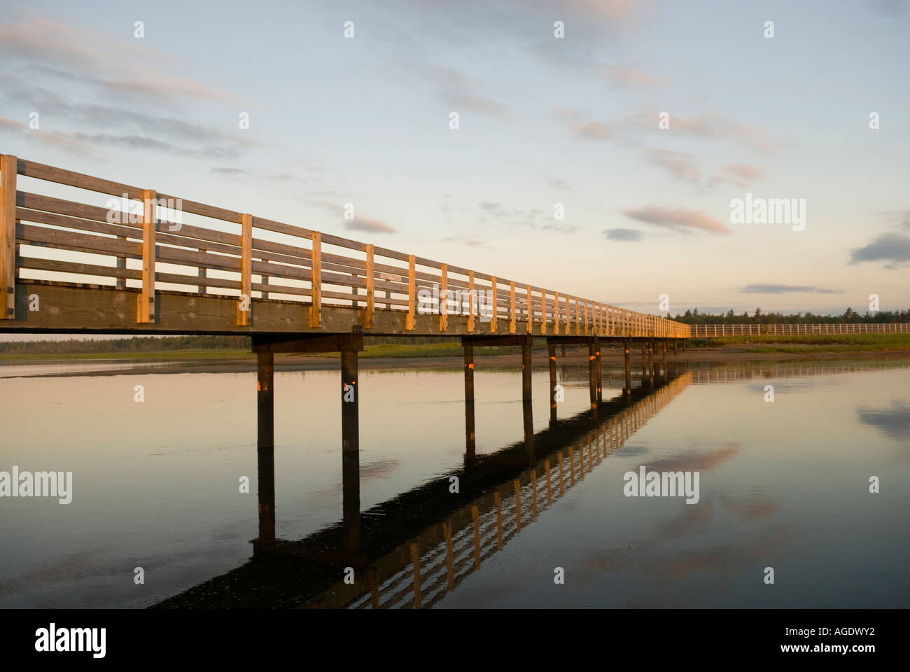 Stock photo of boardwalk over salt water marsh and dunes at