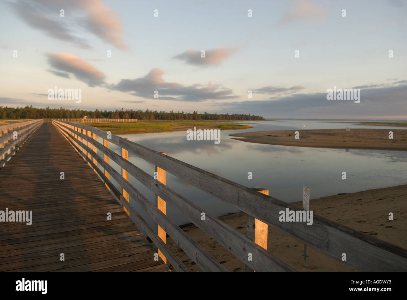 Stock photo of boardwalk over salt water marsh and dunes at