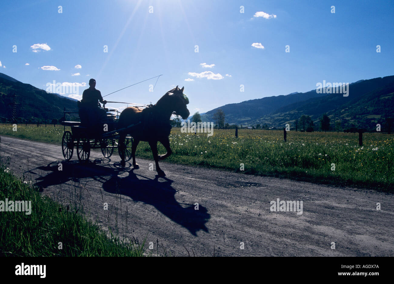 Silhouette of horse and trap Kaprun Austria Stock Photo