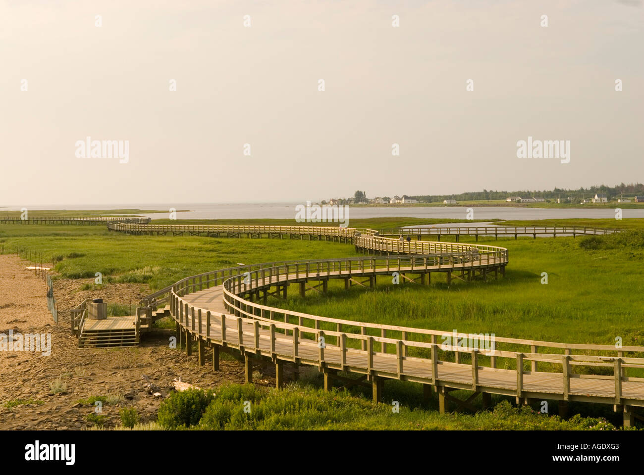 Stock image of the boardwalk marsh and coast of La Dune de Bouctouche