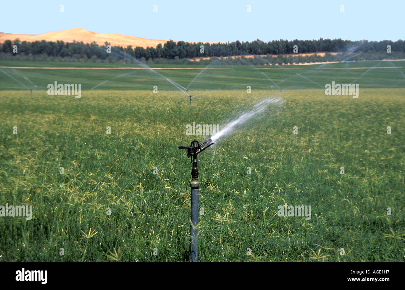 Reclaimed Desert High Resolution Stock Photography and Images Alamy