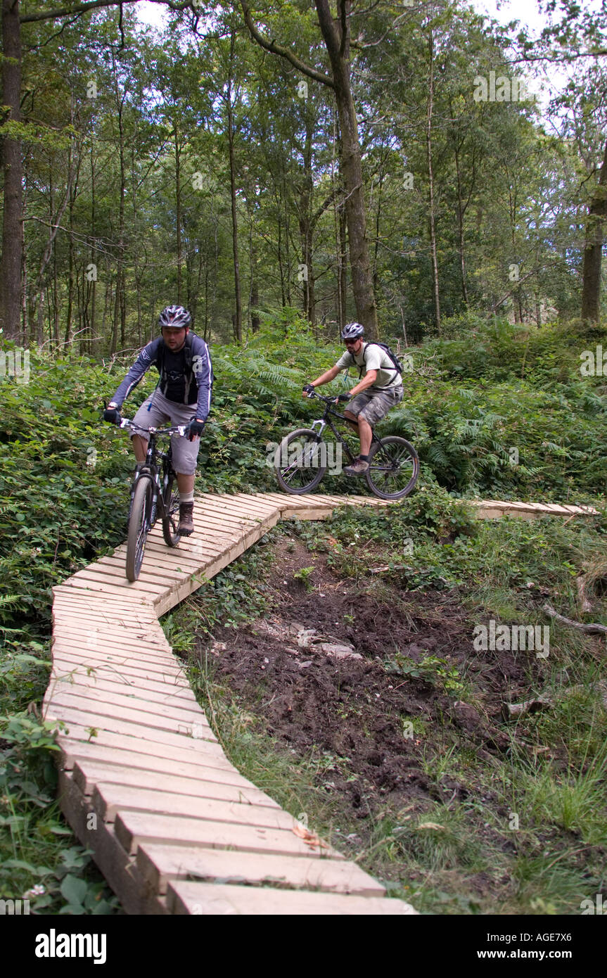 grizedale mtb trails