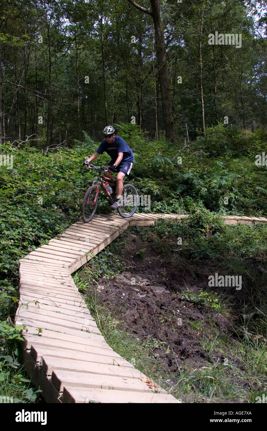 grizedale mtb trails