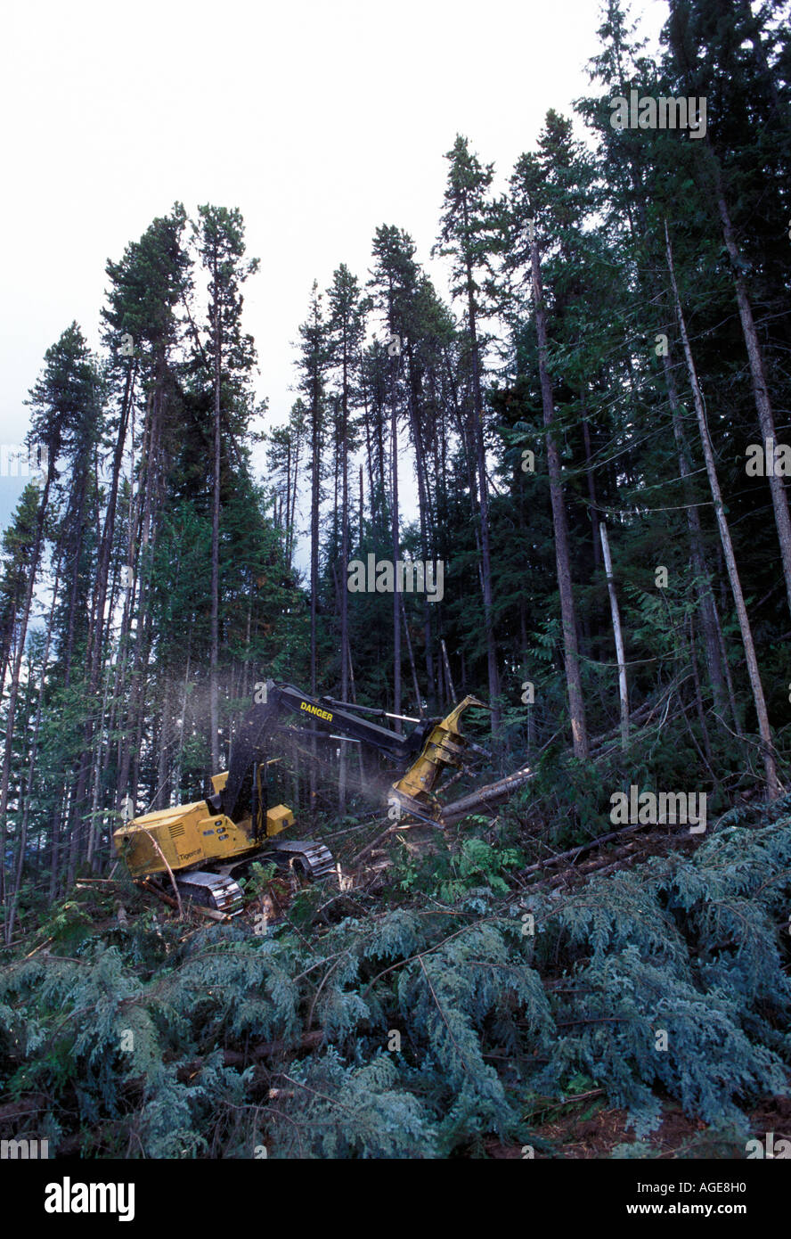 Yarder hires stock photography and images Alamy