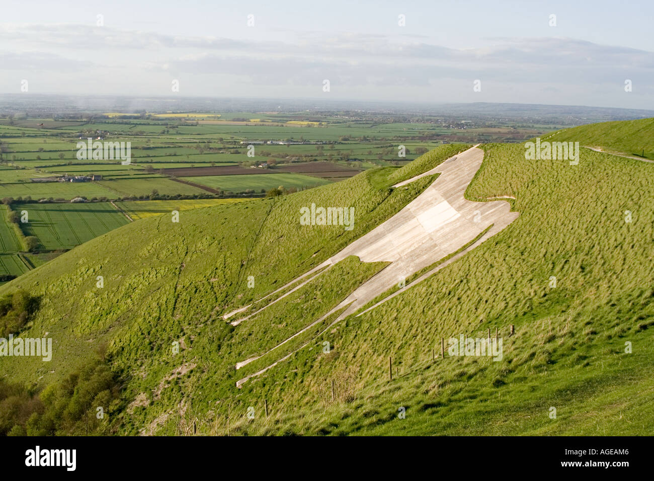 Westbury White Horse Stock Photo Alamy