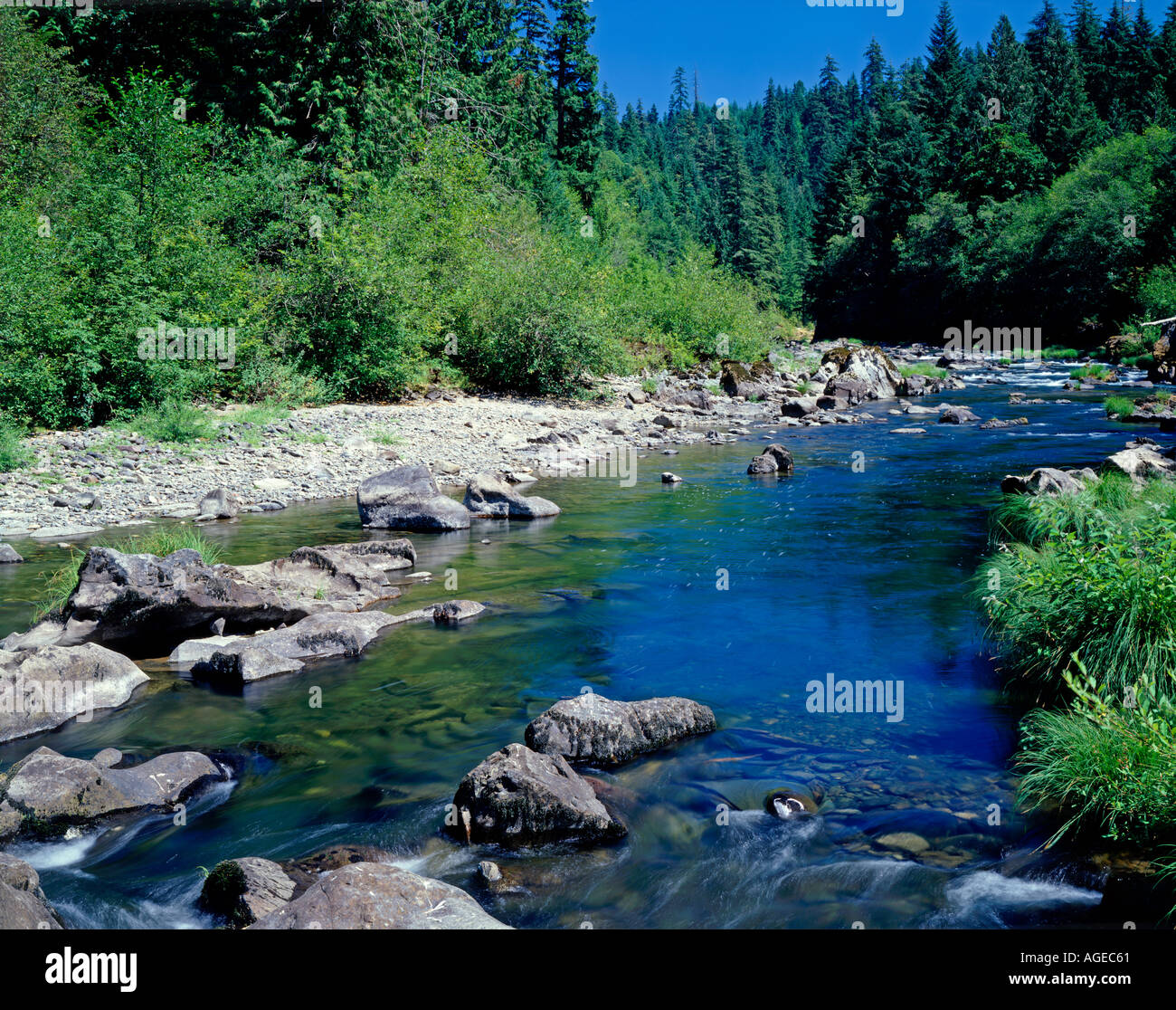 Santiam river hires stock photography and images Alamy