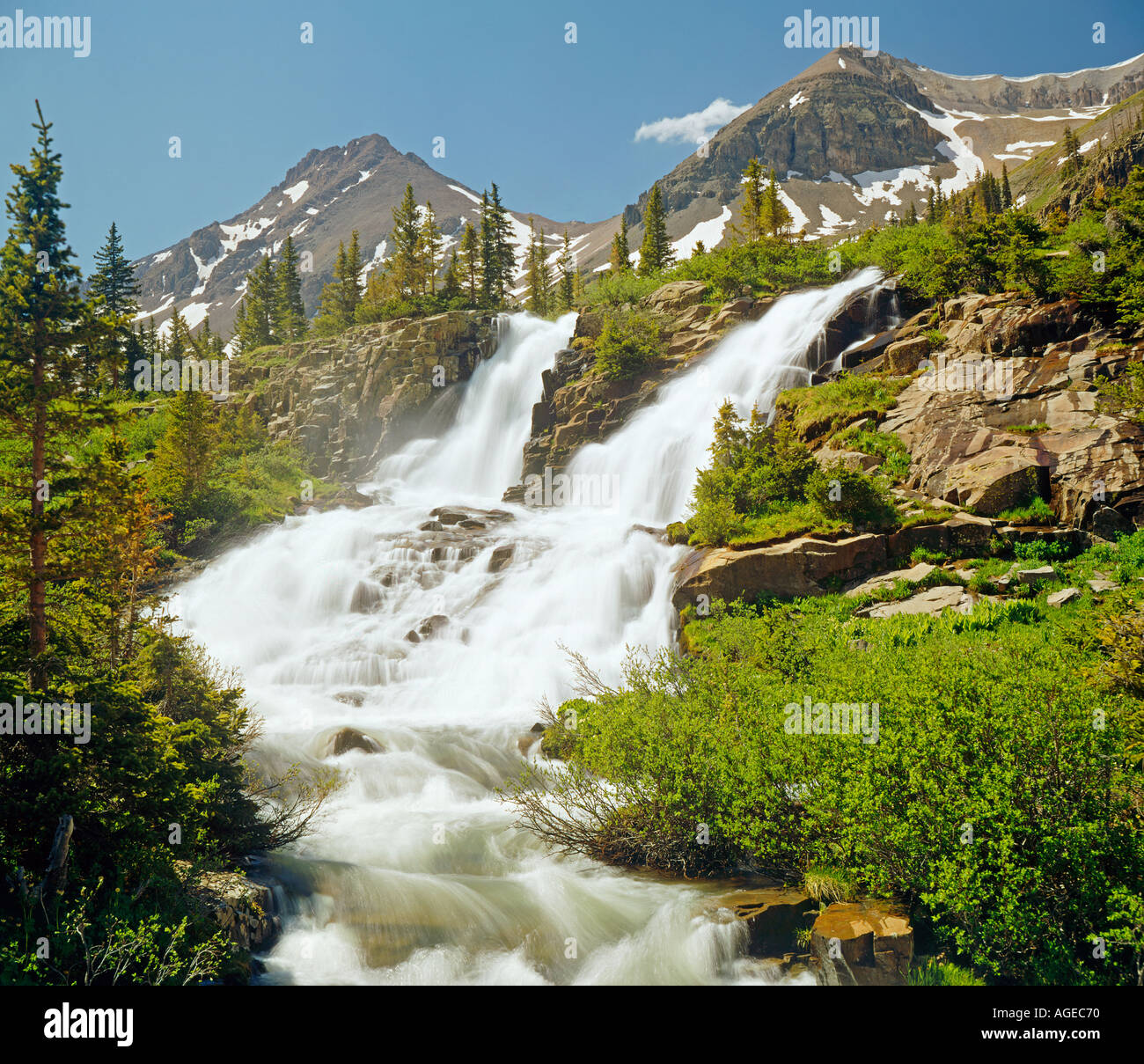 Yankee Boy Basin near Ouray Colorado USA Stock Photo Alamy