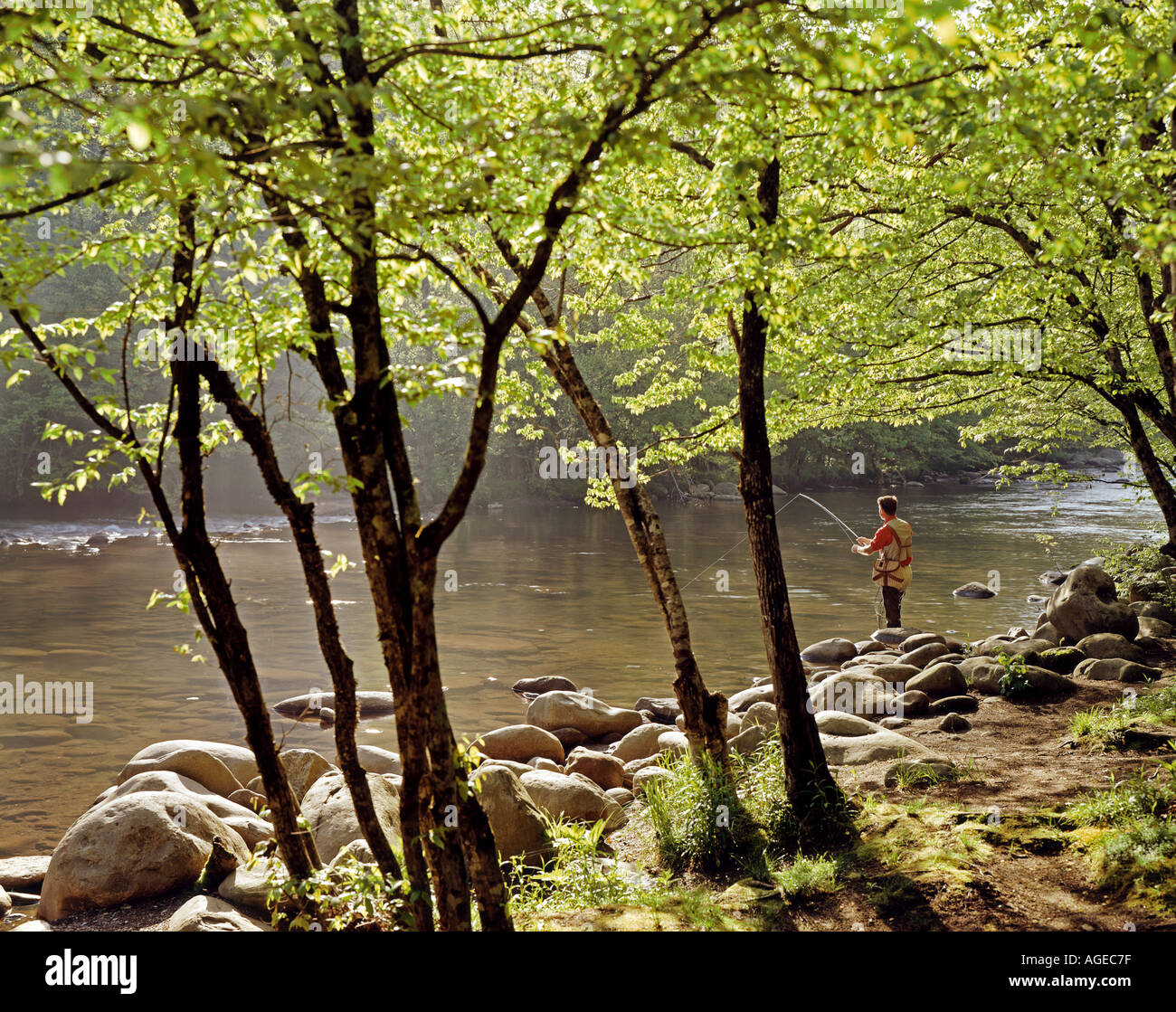 man fishing on Little Pigeon River in the Smoky Mountains in North Carolina USA Stock Photo