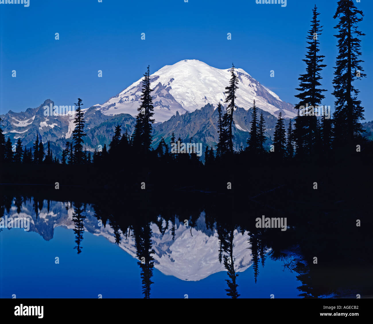 Mt Rainier in Mt Rainier National Park in Washington State USA Stock Photo