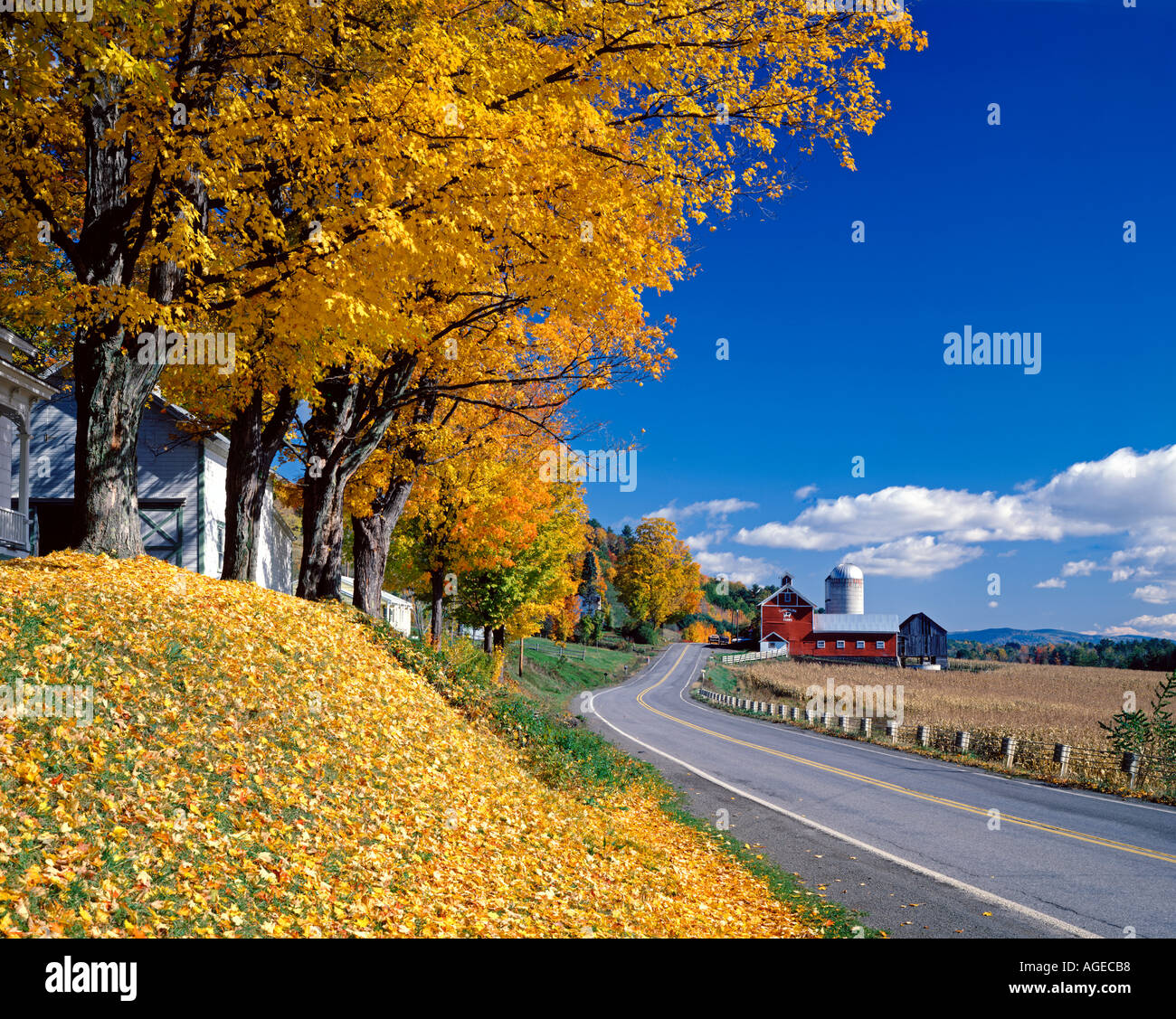 Cooperstown new york hires stock photography and images Alamy
