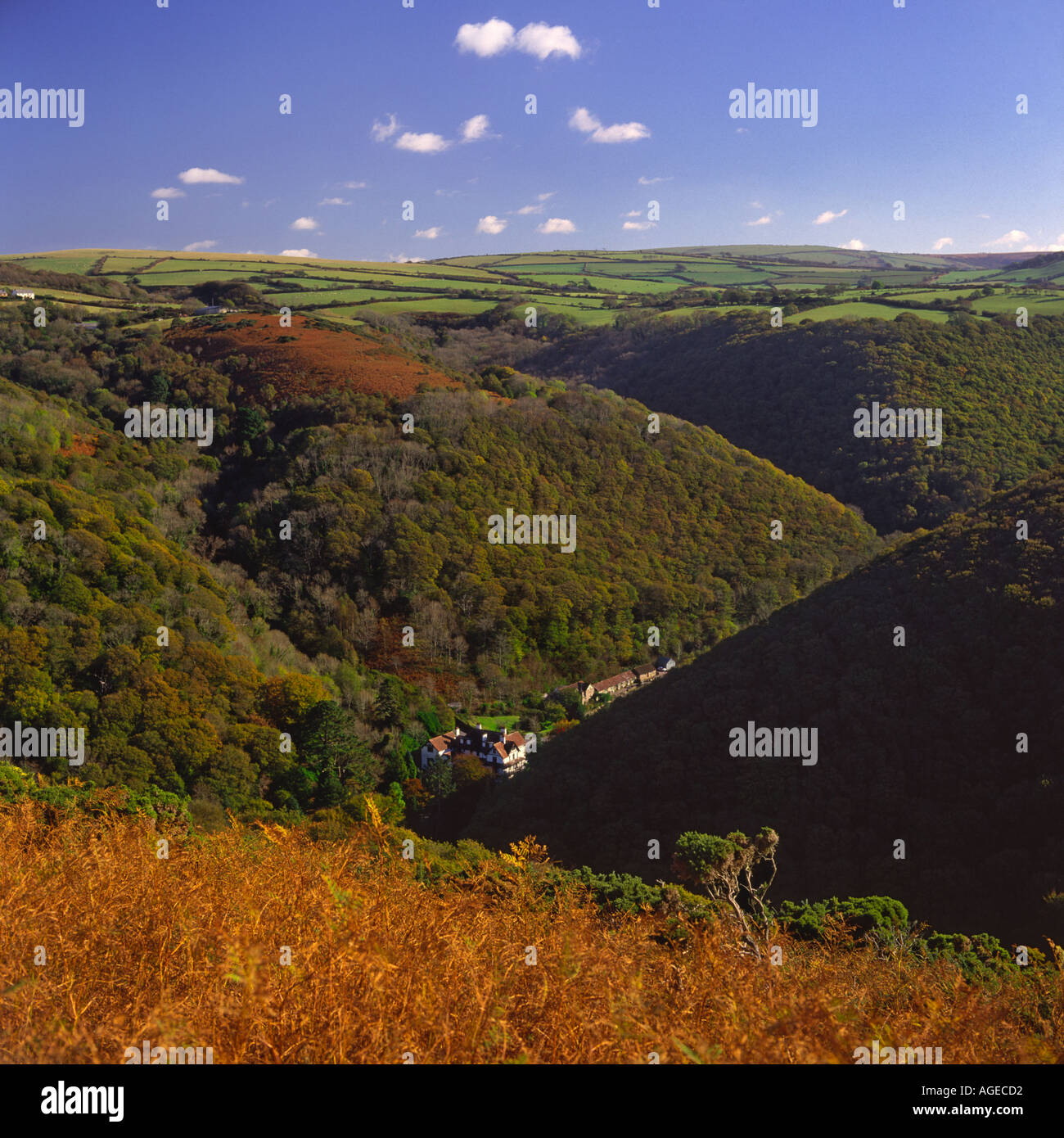 Autumnal view looking down on Hunters Inn across Heddon Valley with brown bracken on Exmoor North Devon England Stock Photo