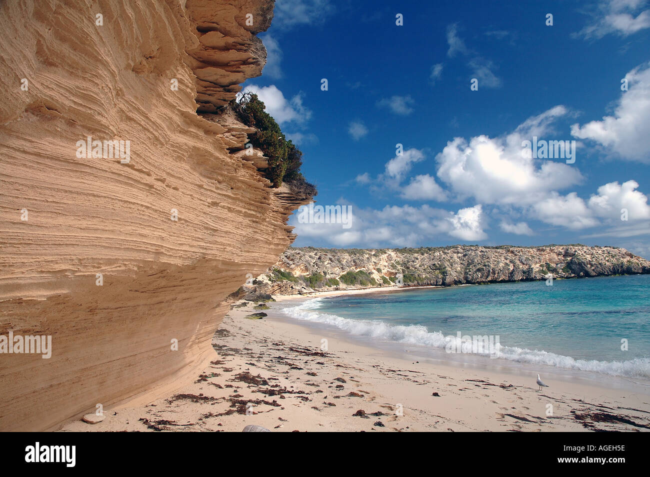 Fragile limestone cliffs of Eagle Bay Rottnest Island Western Australia
