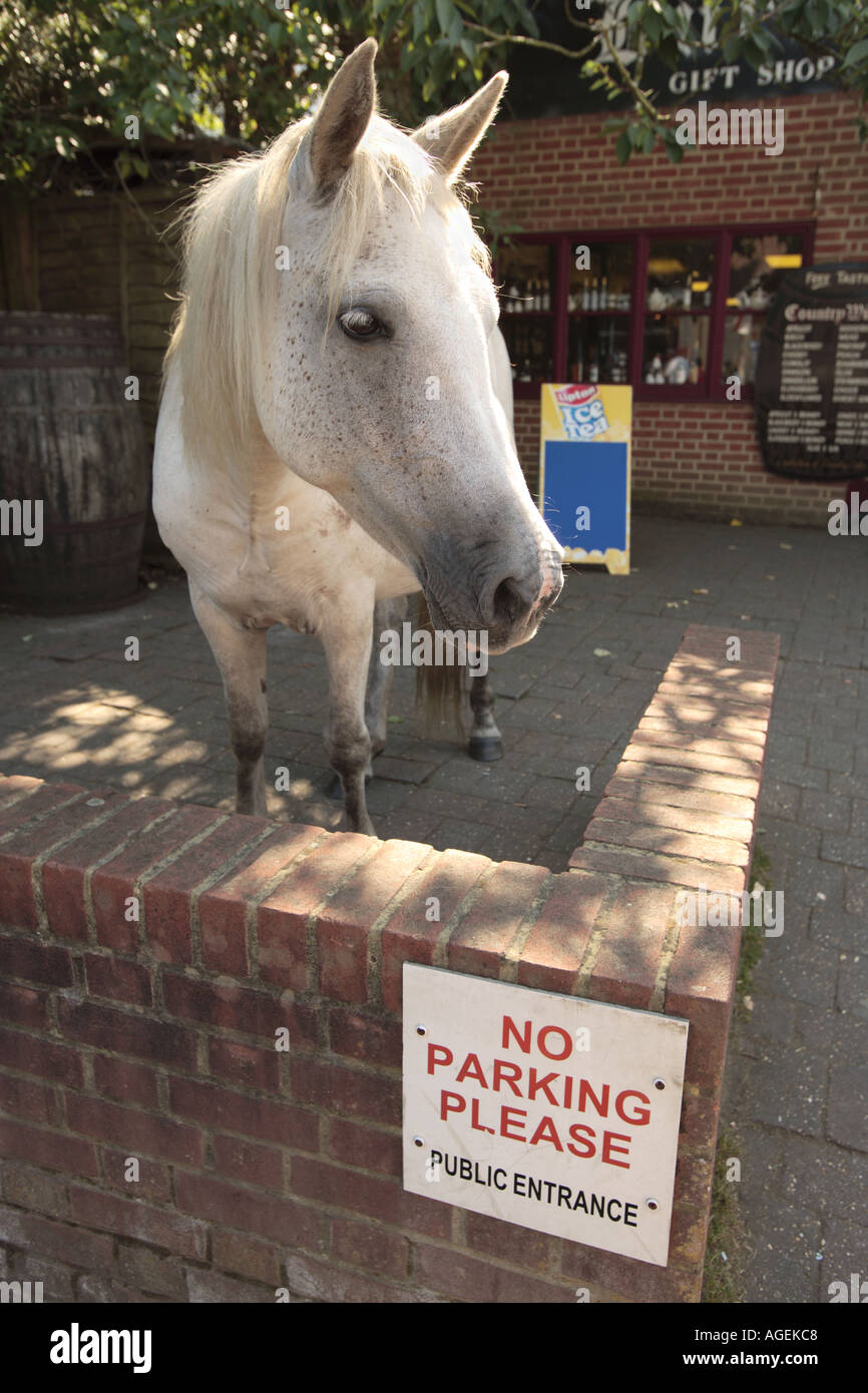 Horse parking sign hires stock photography and images Alamy