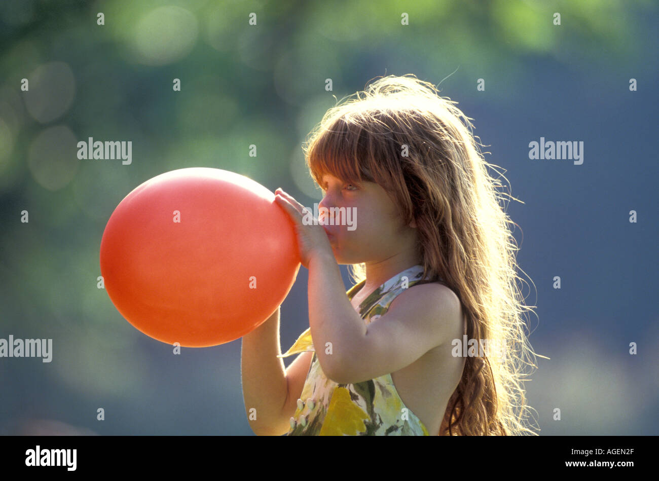 portrait of little inflating red Stock Photo - Alamy