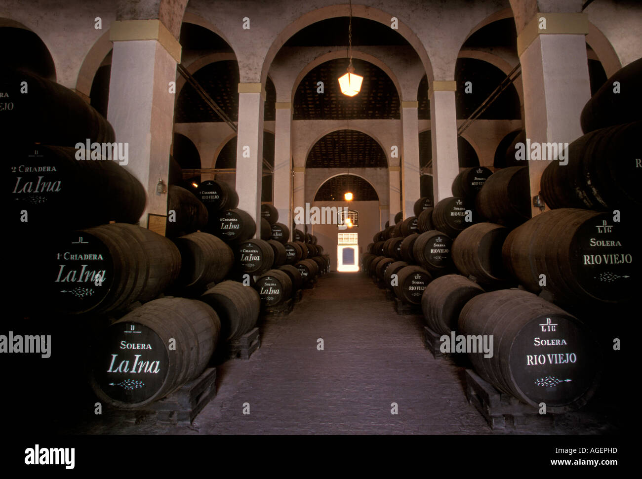 Spanish wine, Spanish brandy, Spanish sherry, wine cellar, winery, Domecq Wine Cellars, Jerez de la Frontera, Cadiz Province, Spain, Europe Stock Photo