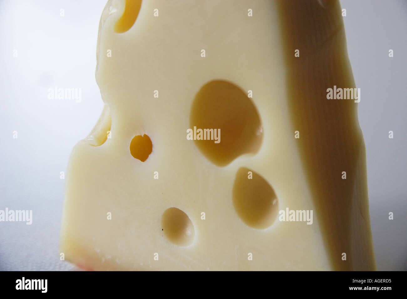 cheese hole mouse fresh swiss switzerland piece cut Stock Photo Alamy