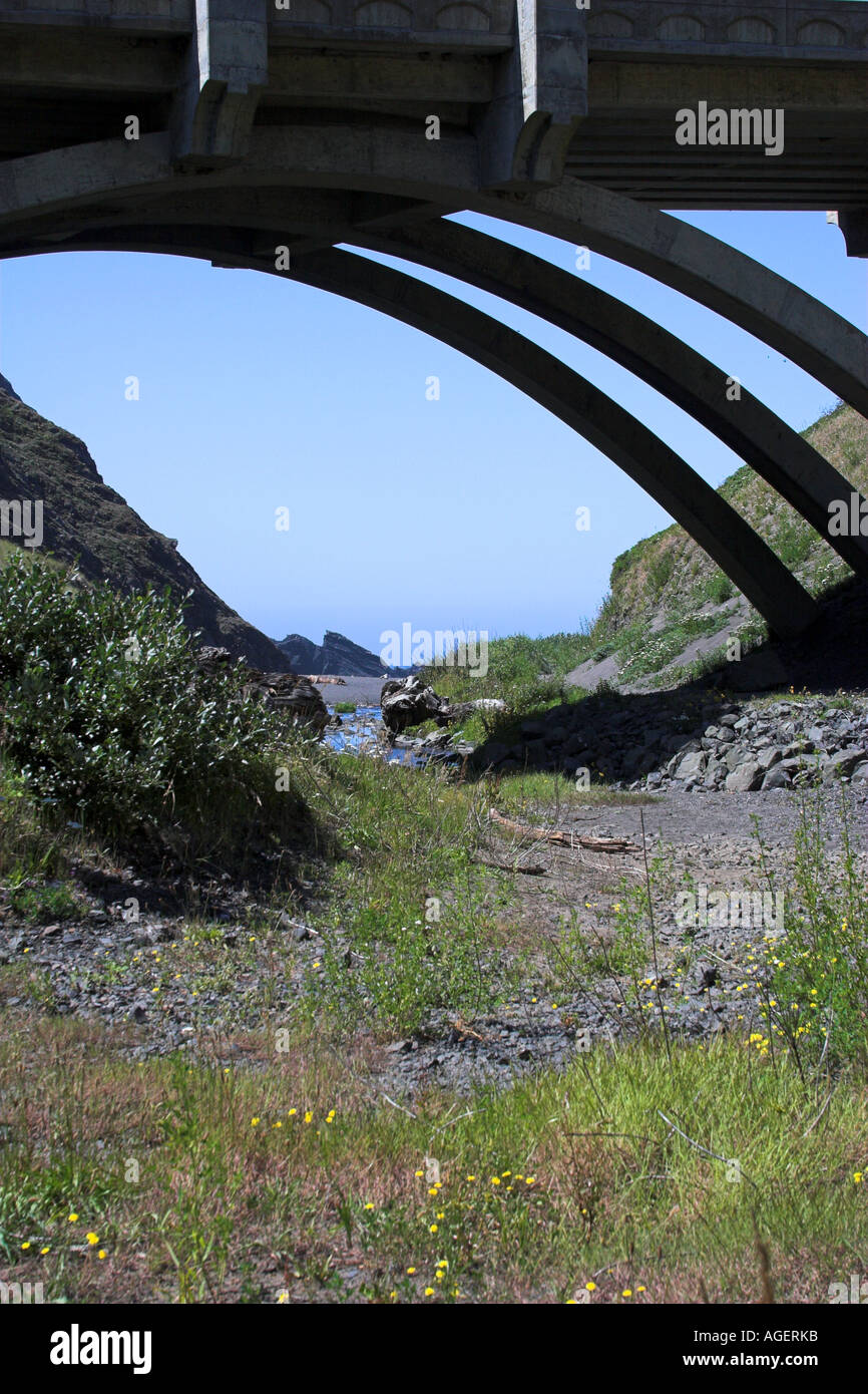 Humbug Mountain: Oregon's Coastal Gem – A Camper's Paradise