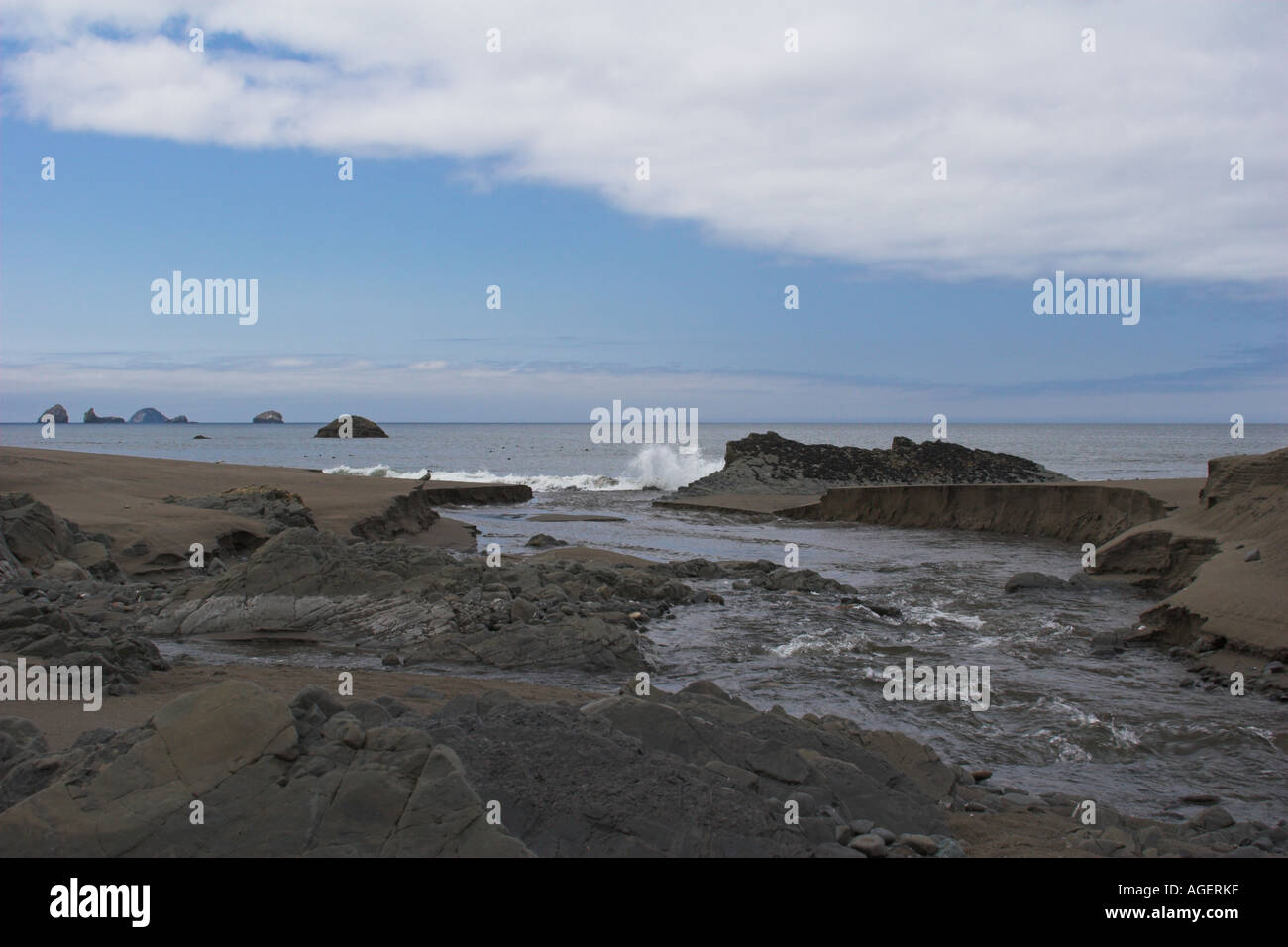 Beach at Port Orford Oregon Stock Photo Alamy