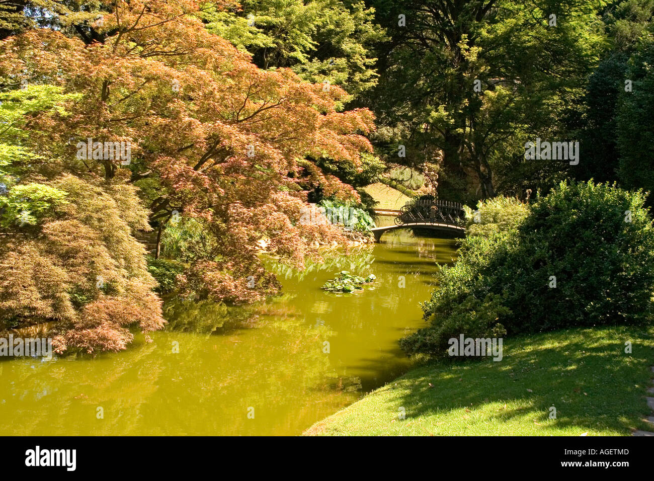 Villa Melzi Gardens (Giardini di Villa Melzi) Bellagio Lake Como Lombardia Italy Stock Photo