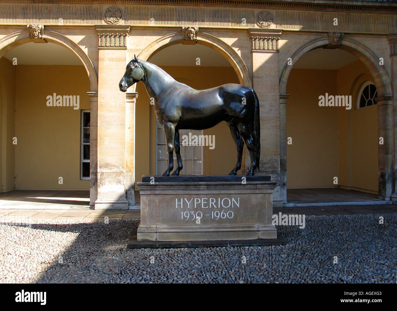 Statue of racehorse Hyperion in Newmarket UK Stock Photo