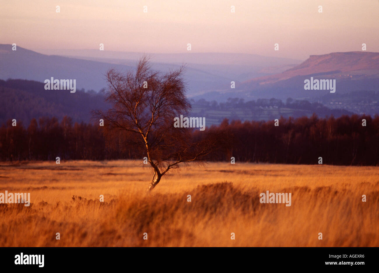 Peak District, Derbyshire Stock Photo Alamy