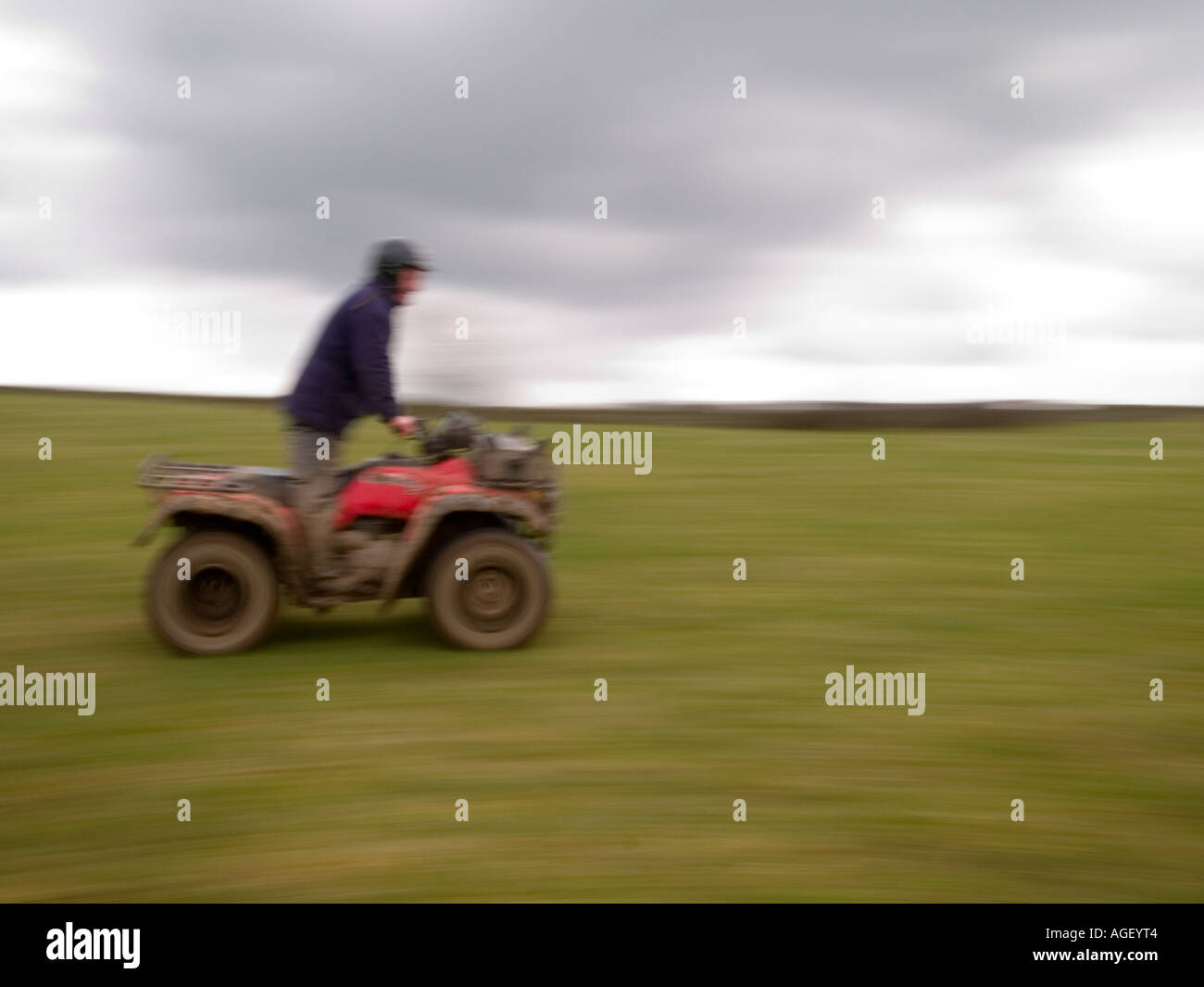 Farmer crossing field on quadbike. Stock Photo