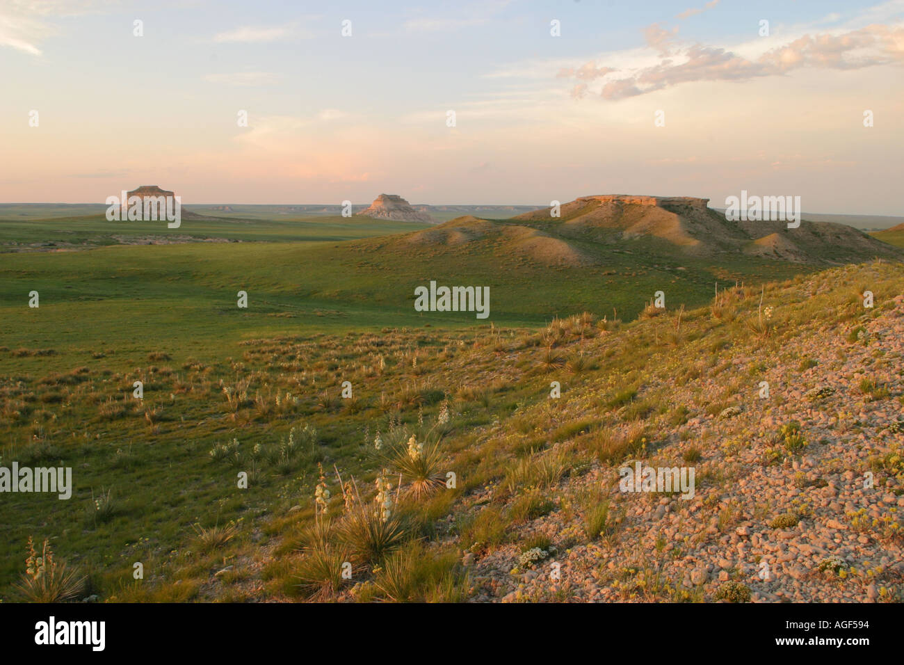 Pawnee Buttes in the Pawnee National Grasslands Stock Photo Alamy