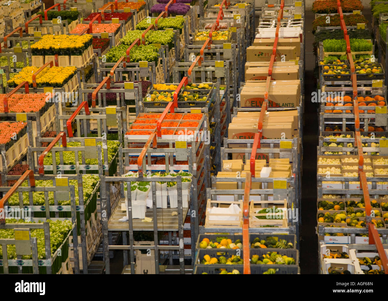 Plants and flowers being moved on trolleys at Aalsmeer Bloemenveiling Stock Photo