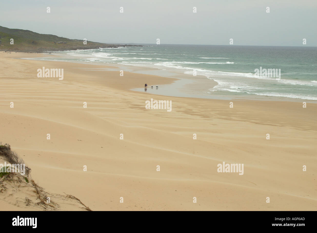 beach oyster bay eastern cape Stock Photo Alamy