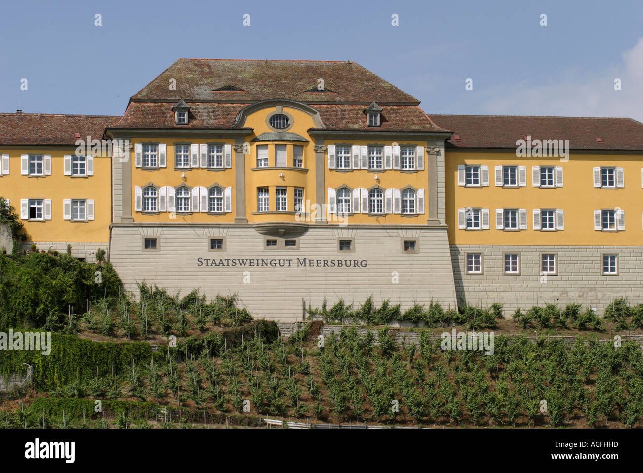 Germany. Meersburg. Wine co-operative & vineyard Stock Photo