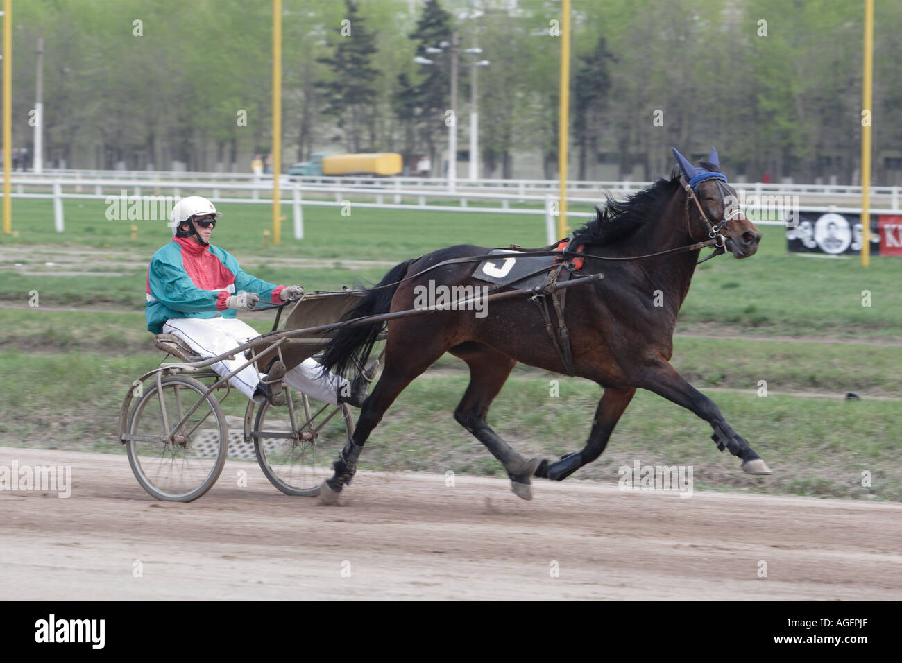 Harness racing is also popular in the eastern. Stock Photo