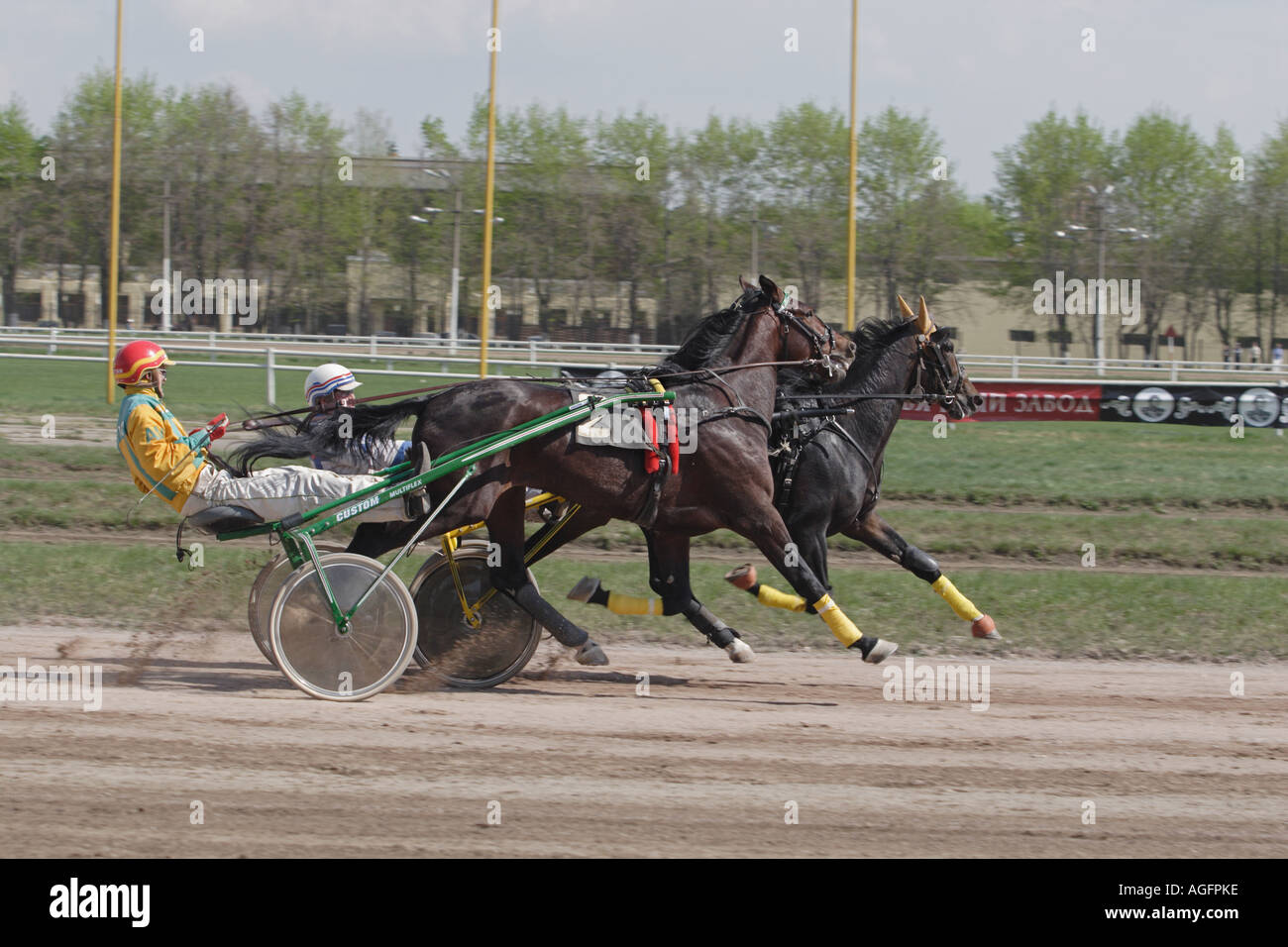 Harness racing is also popular in the France. Stock Photo