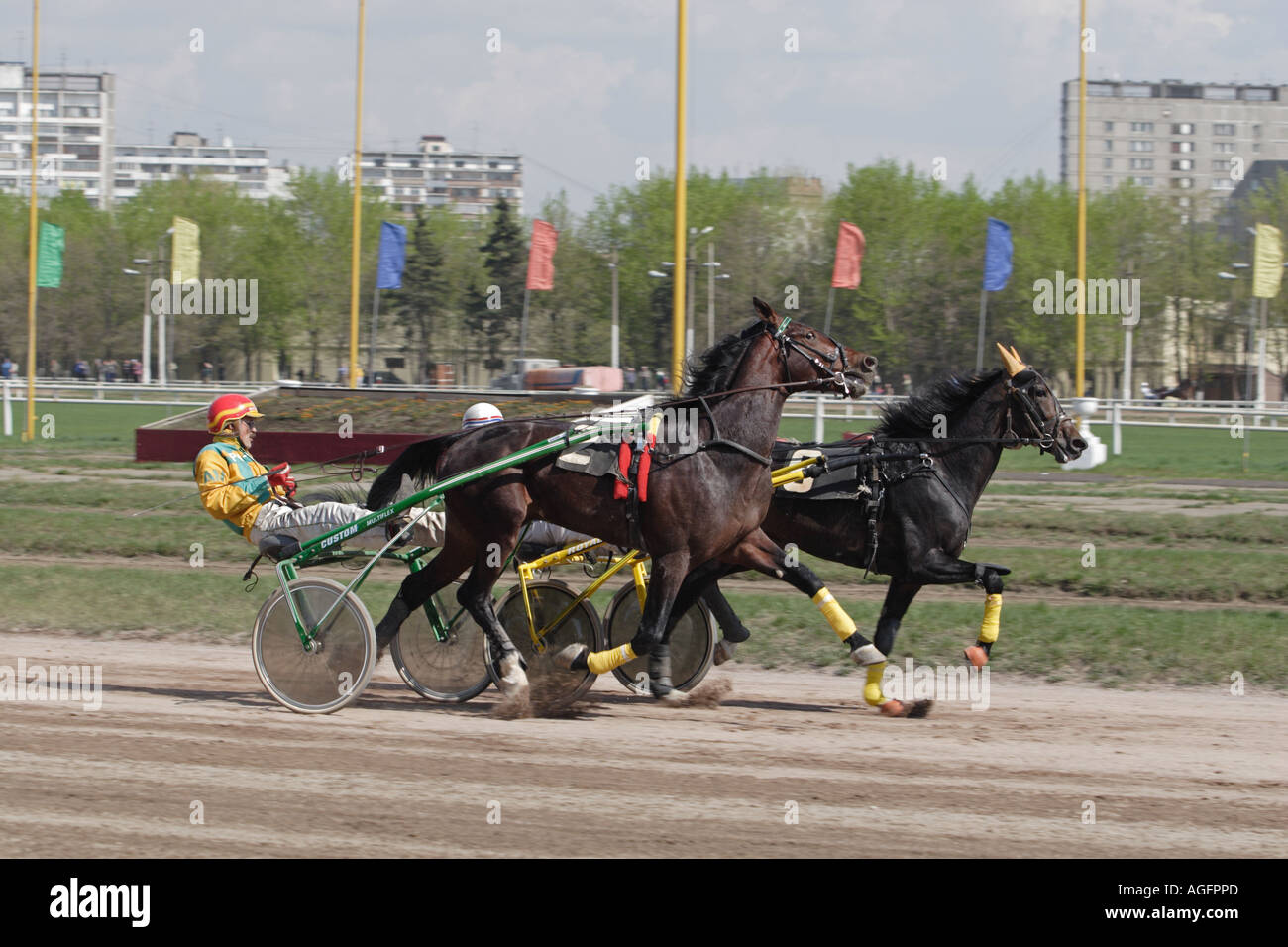 Harness racing is also popular in  America Stock Photo