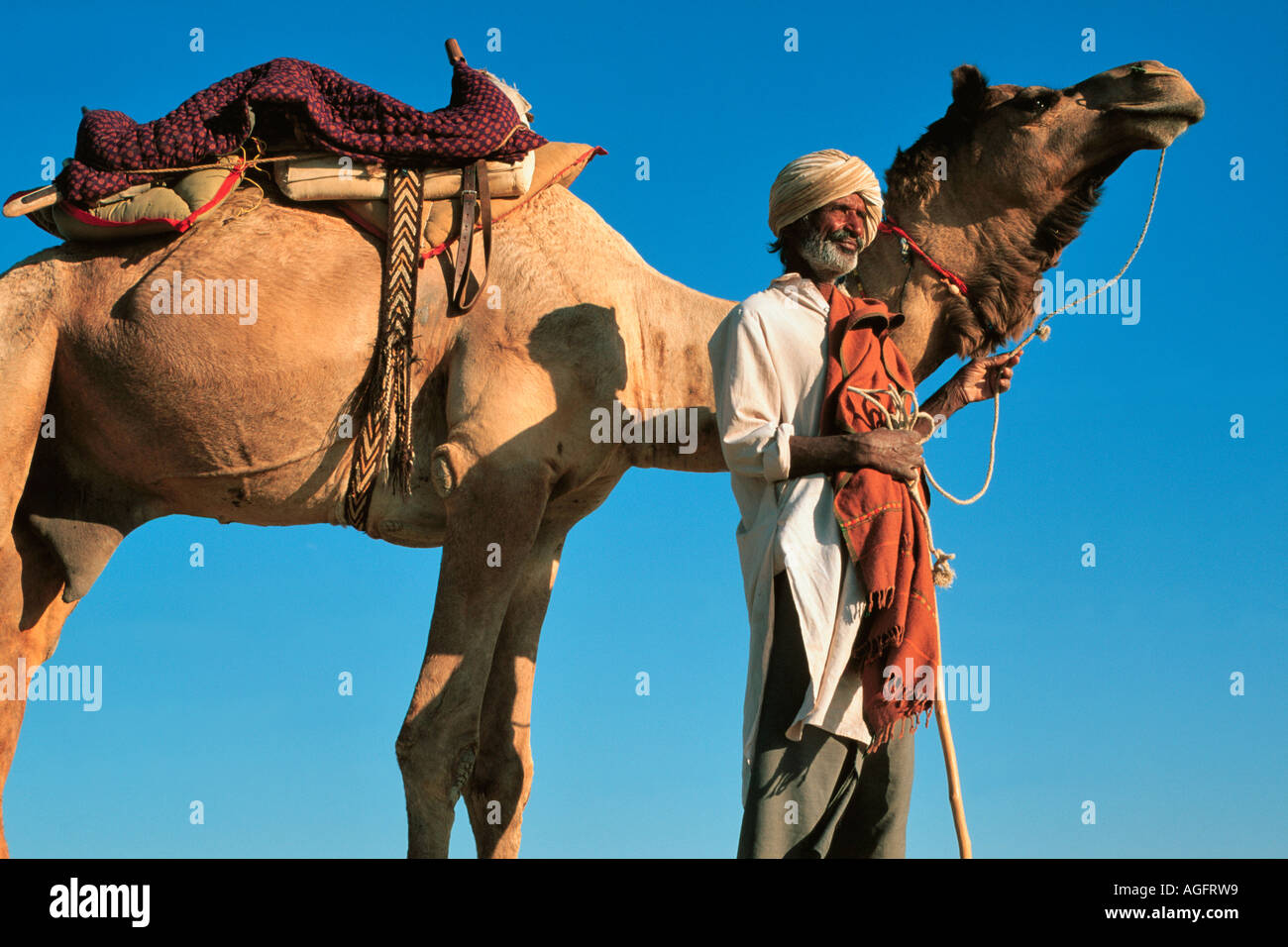 Camel master hi-res stock photography and images - Alamy