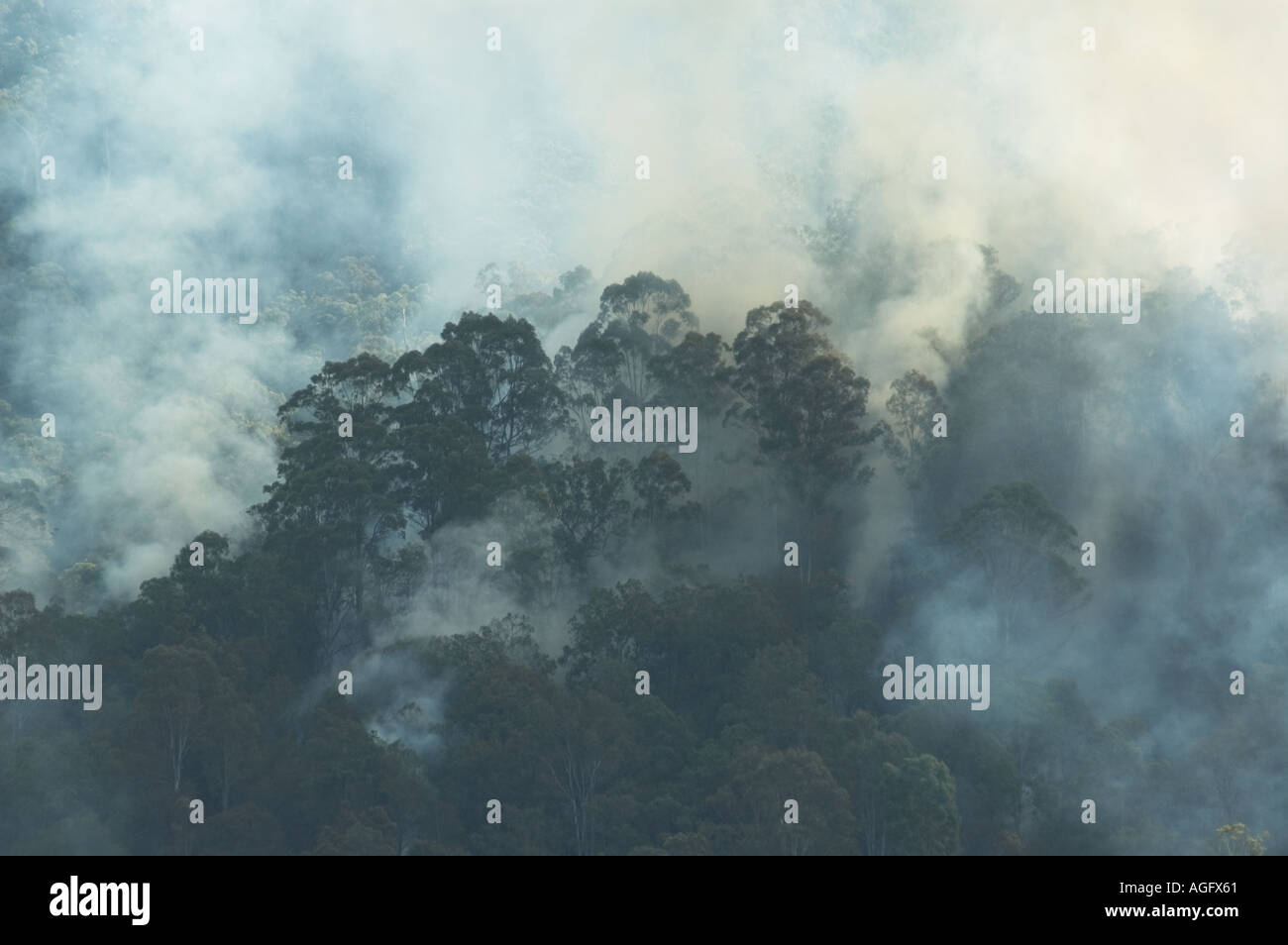 smoke rising from backburn Queensland Australia Stock Photo - Alamy