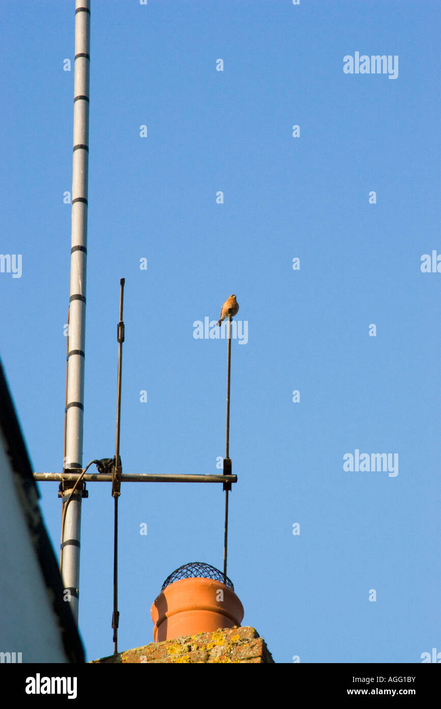 Fm antennae hi-res stock photography and images - Alamy
