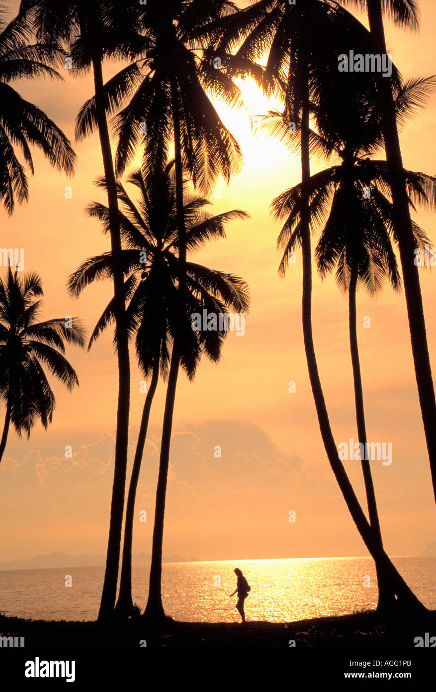 sunset and beach, Koh Samui, Thailand Stock Photo